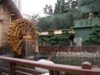 Chi-Lin-Garden-WaterWheel-1.jpg (97kb)
