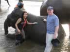 Elephant-Washing-16.jpg (67kb)