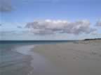 Anegada-beach-2.jpg (20kb)