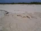 Anegada-sandcastle-1.jpg (35kb)