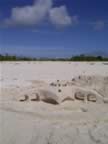 Anegada-sandcastle-4.jpg (31kb)