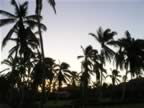 Las-Terrenas-Sun-setting-4.jpg (51kb)