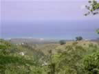 Las-Terrenas-view-from-above-3.jpg (44kb)