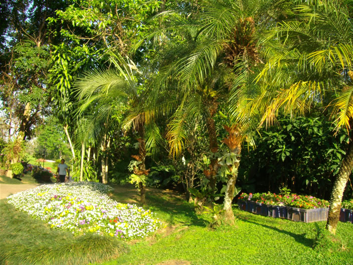 images/Doi-Tung-Royal-Villa-Garden-1.jpg