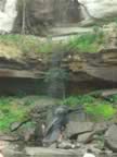 Phu-Chong-Nayoi-Park-Waterfall-2.jpg (85kb)